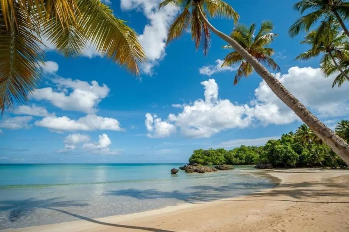 Playa Bonita 4Bd Penthouse & Spa Las Terrenas